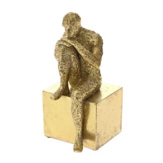 xrysi andrikh polyrezin figoura