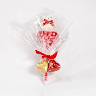 arkoudaki stilo me sokolatakia