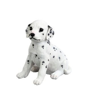 figoura-skylos-dalmatias