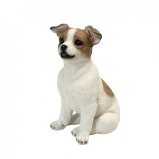 figoura skylos jack russell terrier