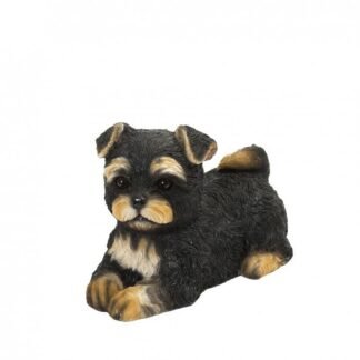 figoura skylos yorkshire