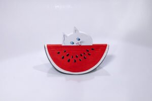 ksilino karpouzi me asprh gata